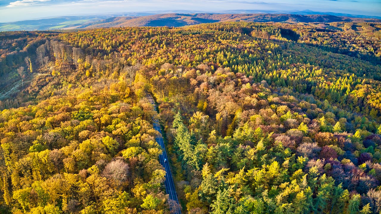 Drone shot of Czech autumn landscape road